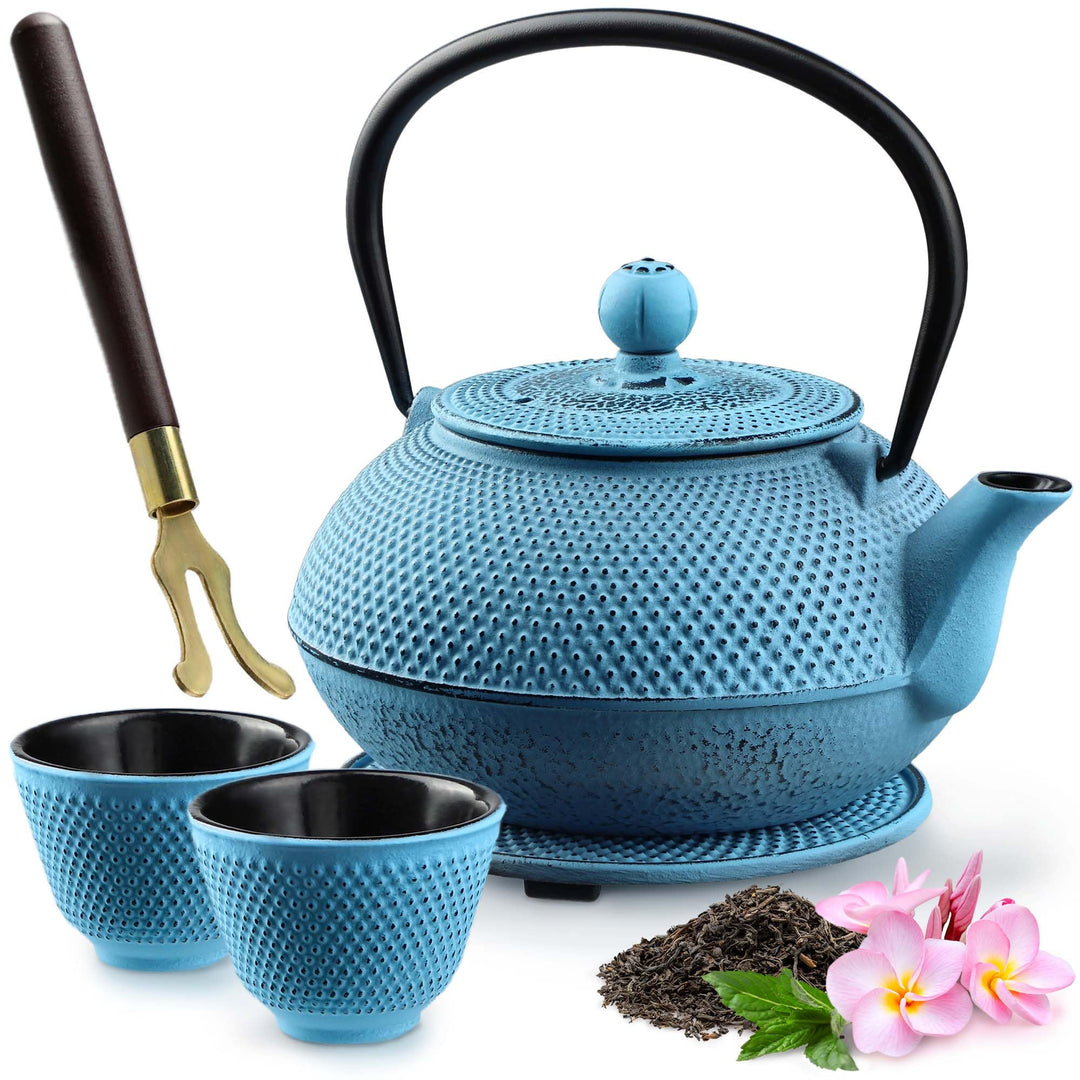 KADAX Japanische Teekanne, 850ml Gusseiserner Kessel, ⌀15cm Kanne mit Netzfilter und robustem Griff,