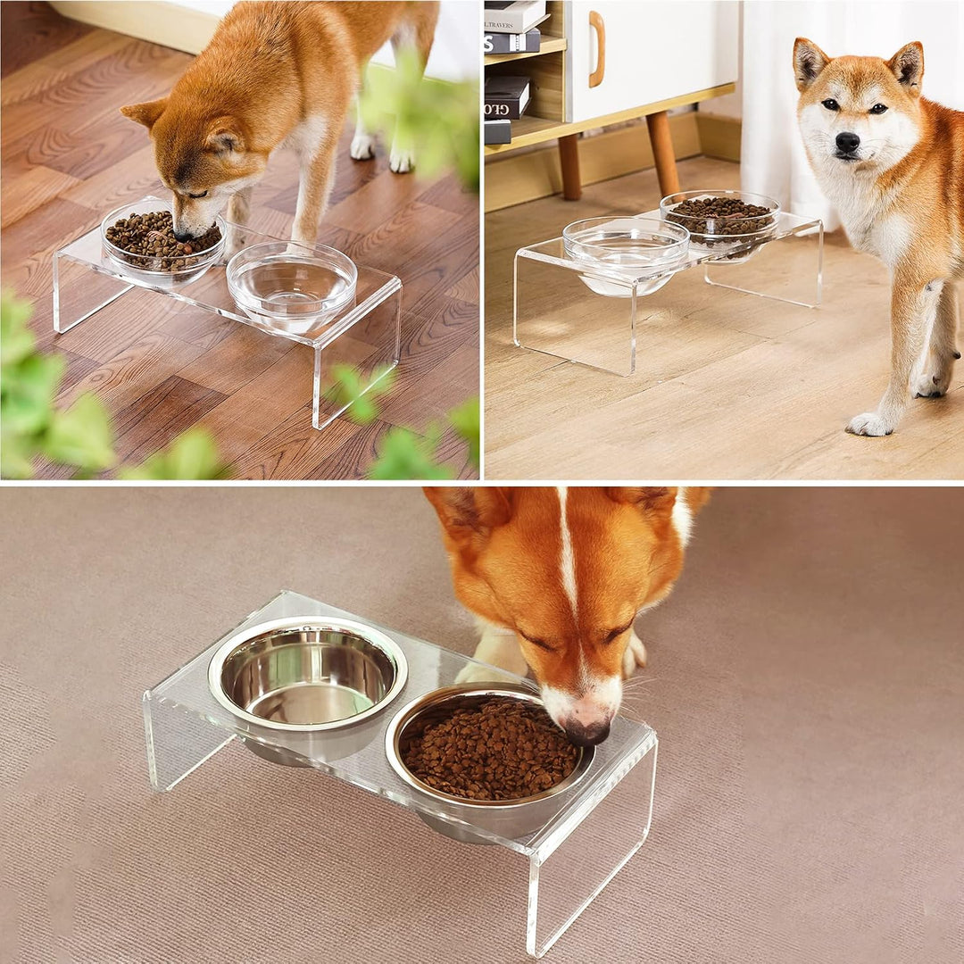 Erhöhter Futternapf für Hunde und Katzen, aus Acryl, mit 2 abnehmbaren Glasnäpfen und 2 Edelstahlnäp