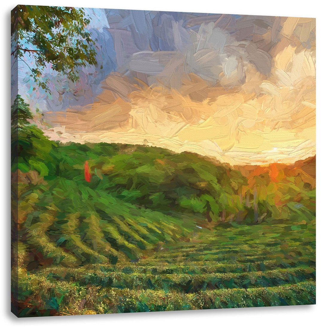 Pixxprint Teeplantage bei Sonnenuntergang Pinsel Effekt, Format: 70x70 auf Leinwand, 70x70