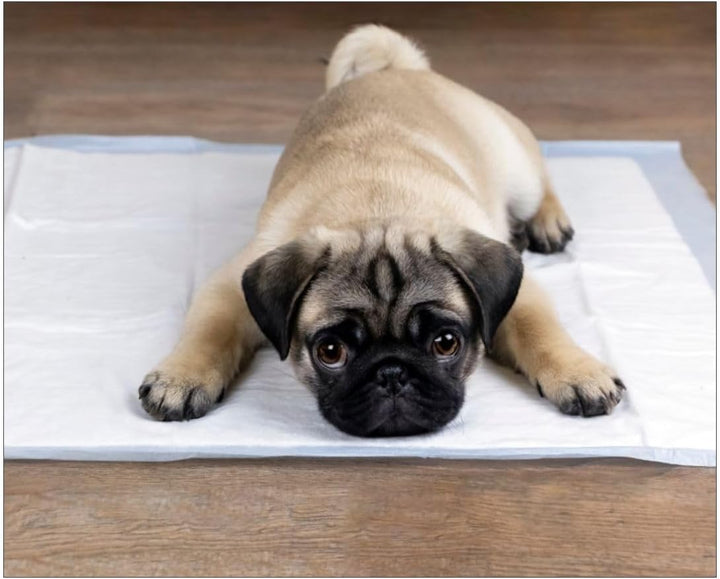 Hygienische Unterlagen für Haustiere Trainingsunterlagen für Welpen Puppy Training Pads Trainingpads