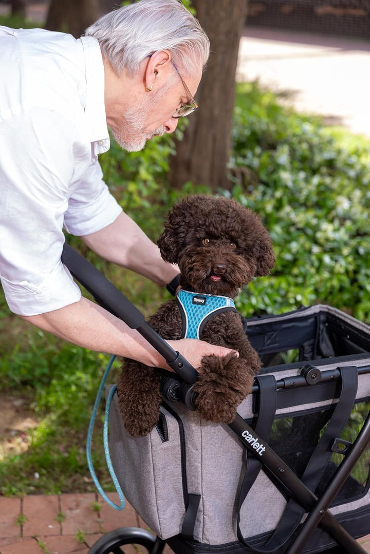 Carlett - Cube P Ruby | 3 in 1 Transporttasche für Tiere | Roulette Transporttasche | Security Frein