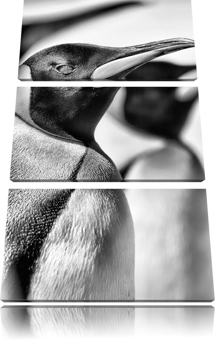 Pinguine / 3-Teilig/Gesamtmass 120cm Leinwandbild bespannt auf Holzrahmen/Wandbild Kunstdruck Dekora