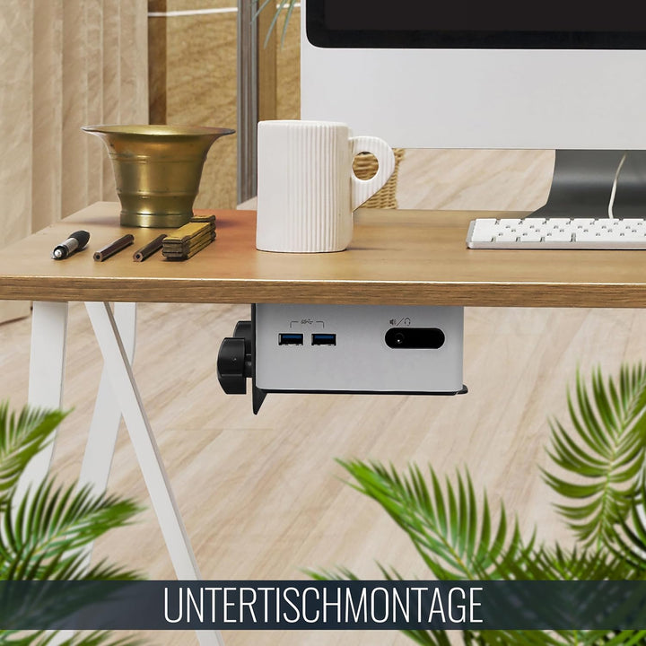 RICOO Mini PC Rechner Halterung für Monitor Tisch Halterung Wand & VESA Montage Thin Client Server R