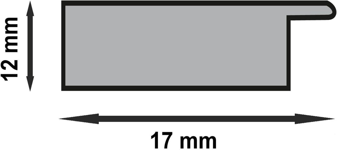 10 x Urkundenrahmen, DIN A4, 21x29,7 Fotorahmen, Bilderrahmen A4,Silber 10 X Silber, 10 X Silber
