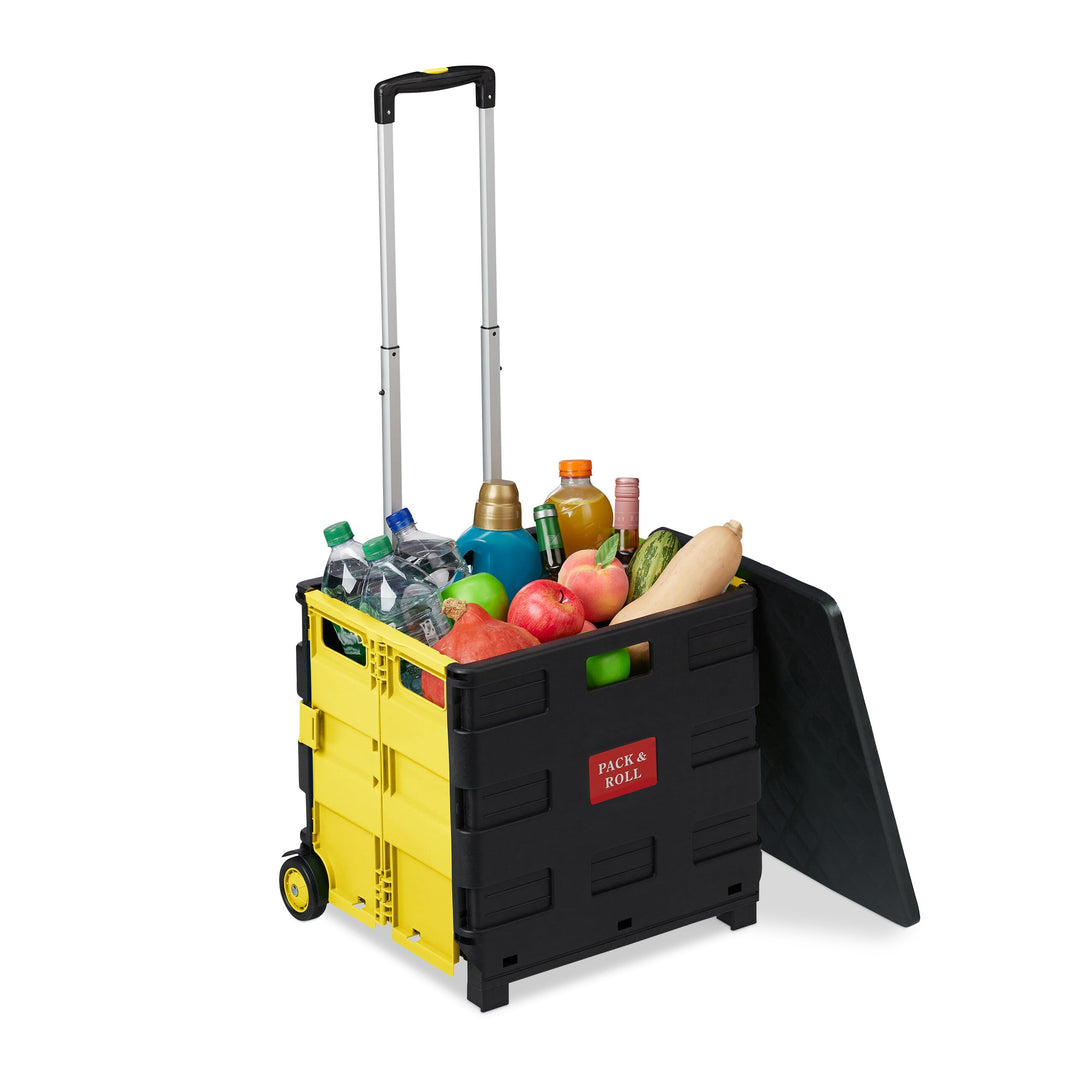 Relaxdays Einkaufstrolley klappbar, bis 35 kg, 50 l Kiste, mit Teleskopgriff, 2 Rollen, Transport Tr