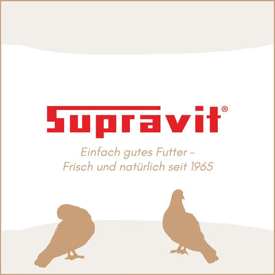 SUPRAVIT Taubenfutter 25kg Basis | nahrhaftes Allroundfutter für Tauben | Klassische Futter Körnermi