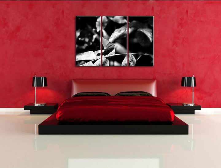 Pixxprint schöner Schmetterling sonnt Sich als Leinwandbild/Grösse: 3 Teilig (120x80) cm/Wandbild/Ku