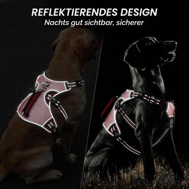 HEELE Hundegeschirr, Ausbruchsicher, Schnalle im Halsbereich, Reflektierend, Brustgeschirr mit Robus