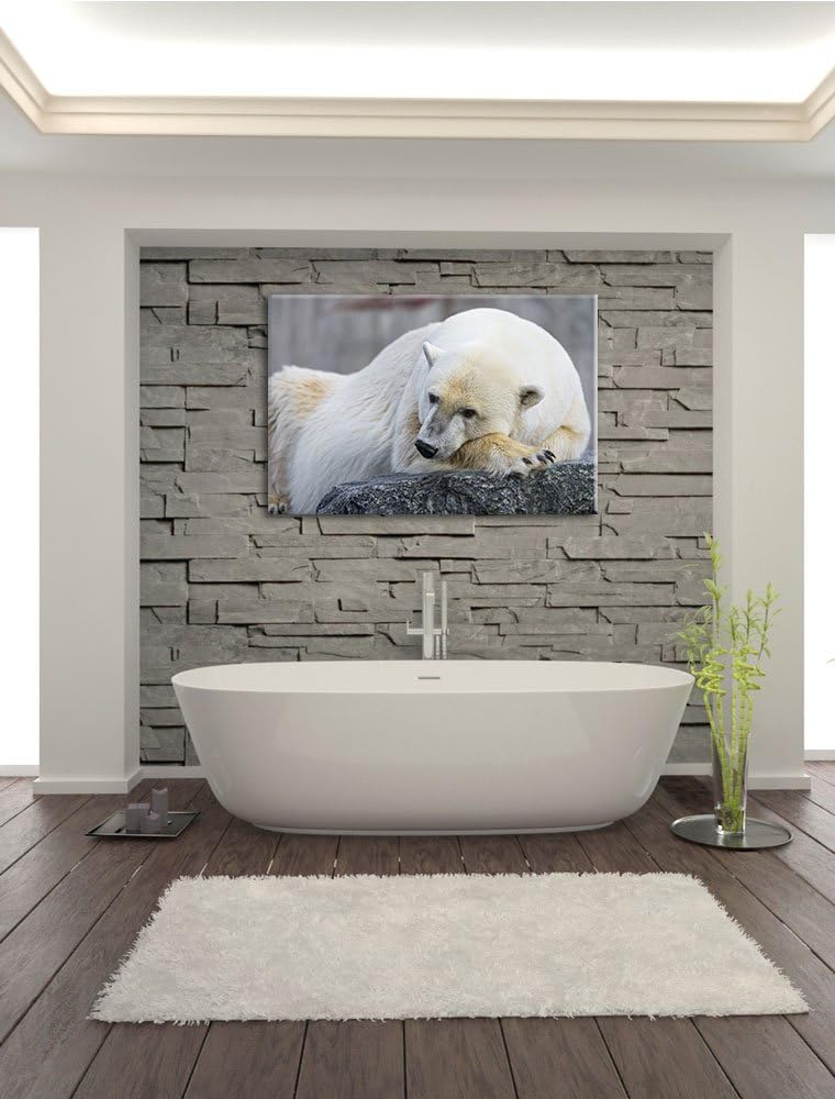 Pixxprint schlafender Eisbär auf Leinwand, XXL riesige Bilder fertig gerahmt mit Keilrahmen, Kunstdr