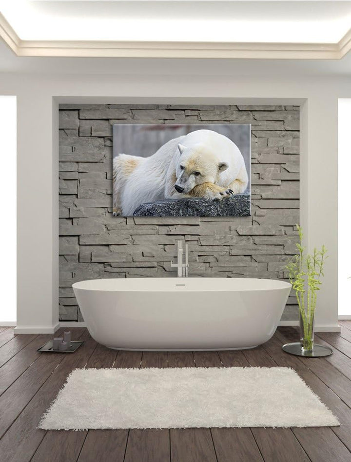 Pixxprint schlafender Eisbär auf Leinwand, XXL riesige Bilder fertig gerahmt mit Keilrahmen, Kunstdr