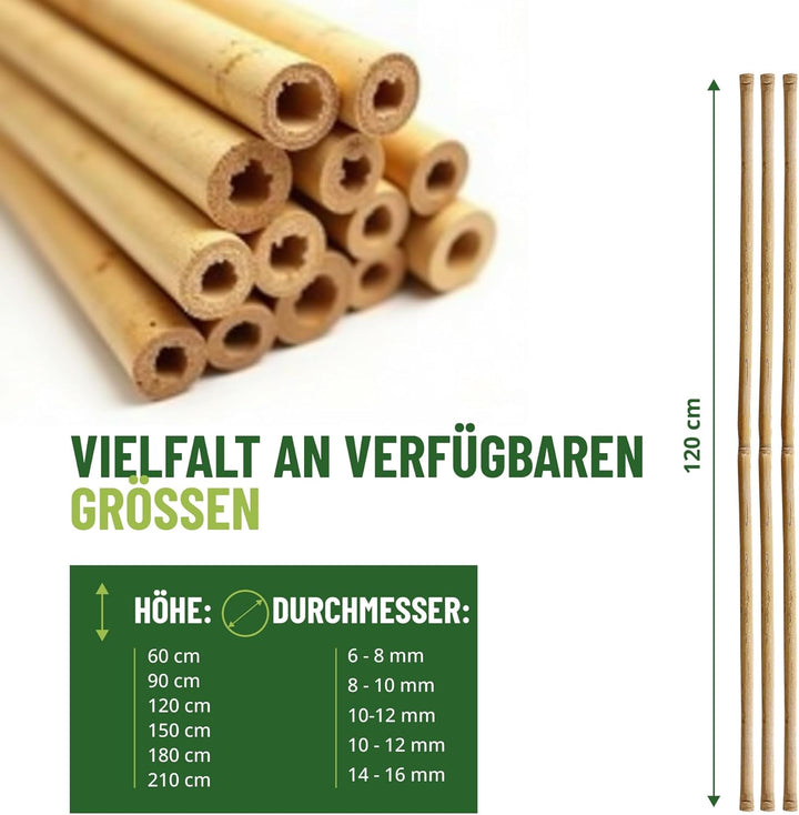Control Garden Pack 30 Stück Bio Bambus Tutor 120 cm | Naturpfahl Zuckerrohr Pflanzenhalter Gartenst
