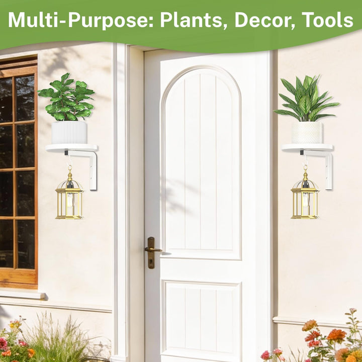 iDavosic.ly Wand Pflanzenhalter Set aus 2 Stück, Metall Blumenständer mit 2 Haken, Wandmontage Blume