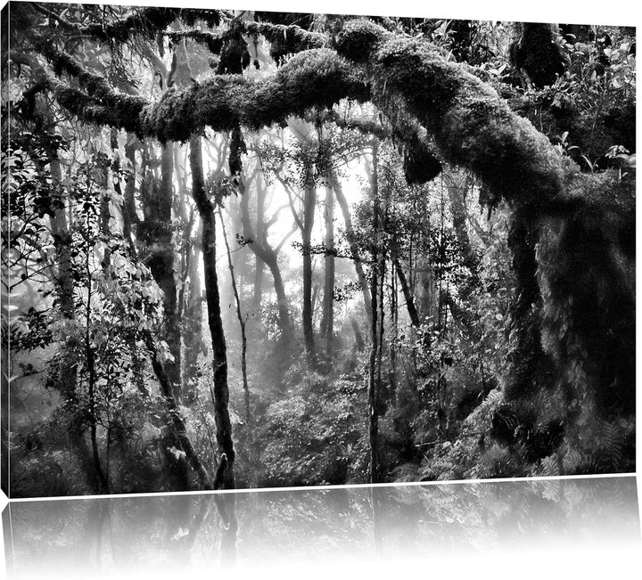 Pixxprint Regenwald Bäume See / 100x70cm Leinwandbild bespannt auf Holzrahmen/Wandbild Kunstdruck De