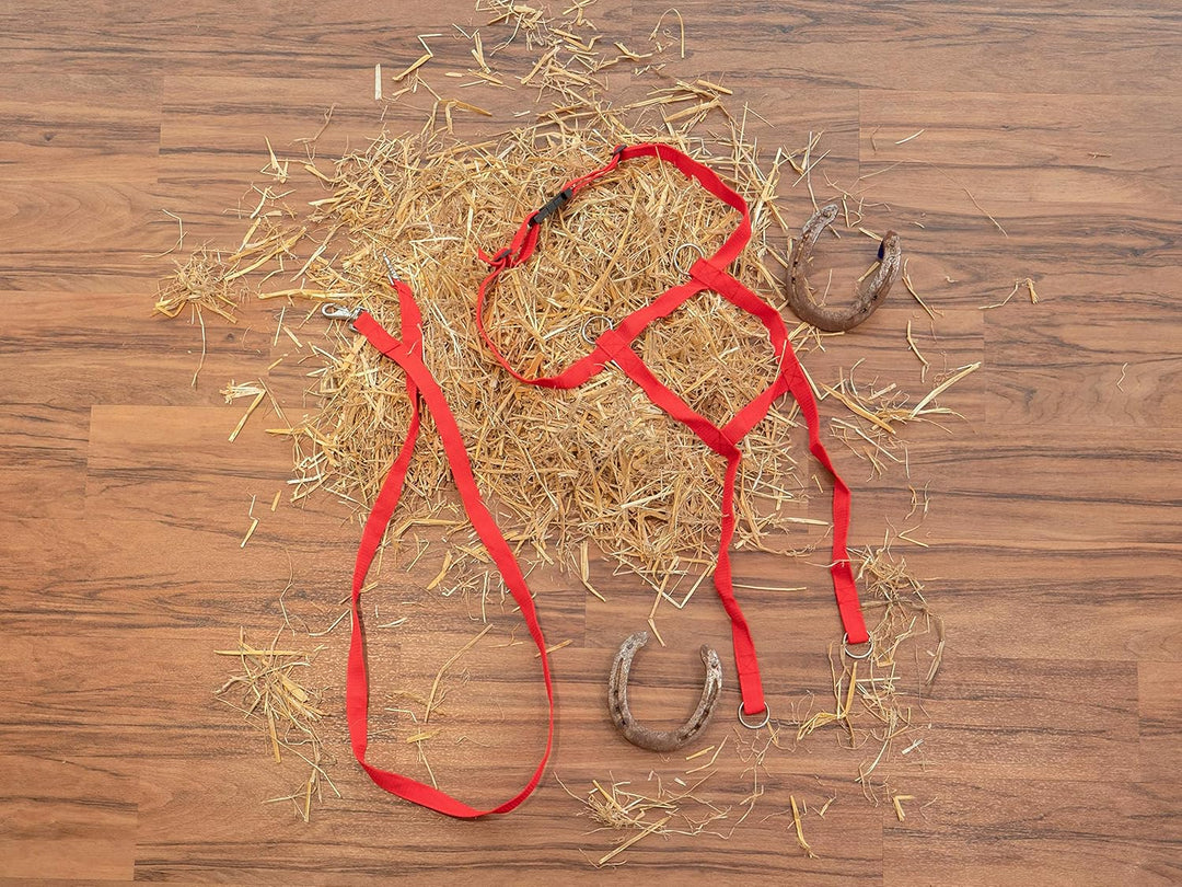 Betzold Sport - Pferde-Geschirr Kinder-Spielzeug Spielen Pferdchen-Spiele Rollenspiele Rot, Rot