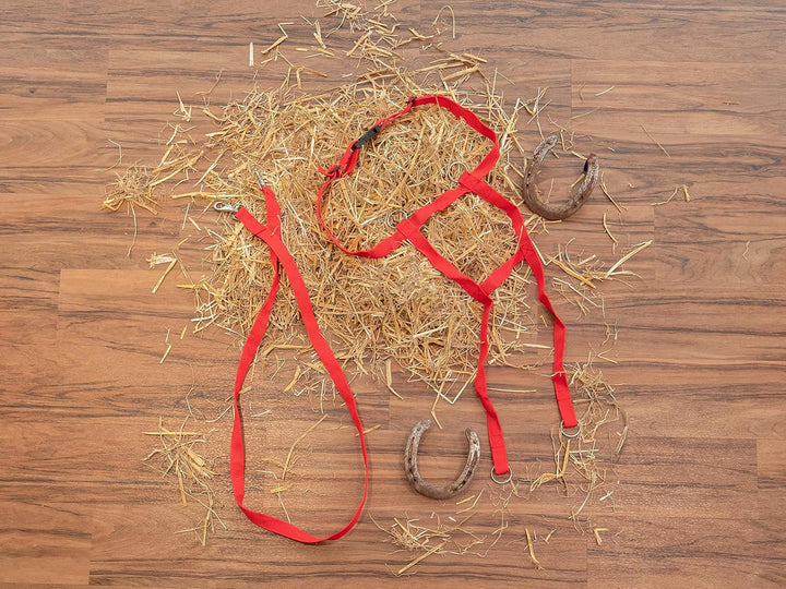 Betzold Sport - Pferde-Geschirr Kinder-Spielzeug Spielen Pferdchen-Spiele Rollenspiele Rot, Rot