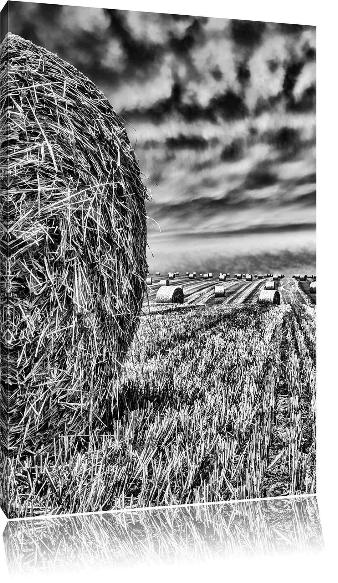 Pixxprint Feld im Sonnenuntergang als Leinwandbild/Grösse: 100x70 cm/Wandbild/Kunstdruck/fertig besp