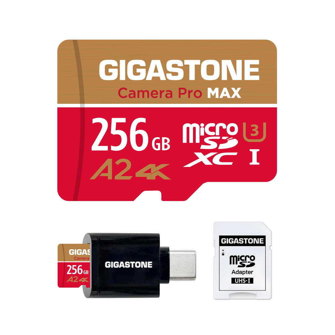 [5 Jahre kostenlose Datenrettung] GIGASTONE 256GB Micro-SD-Karte mit USB 3.2 Typ C Kartenleser, 4K C