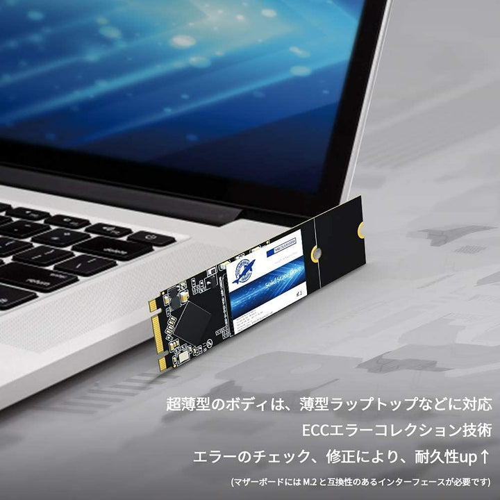 Dogfish SSD M.2 2280 500 GB Ngff Internes Solid State Drive Hochleistungsfestplatte für Desktop-Lapt