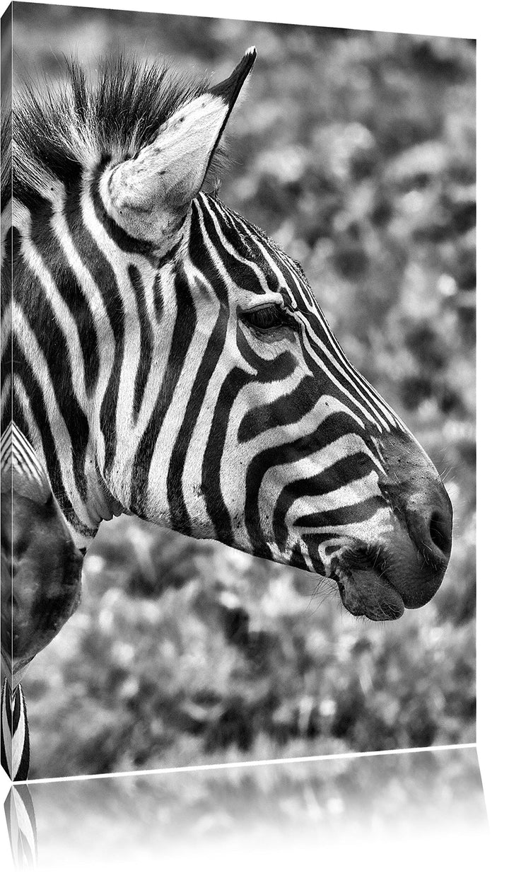 Pixxprint Monocrome, schönes Zebrapaar, Format: 100x70 auf Leinwand, 100x70
