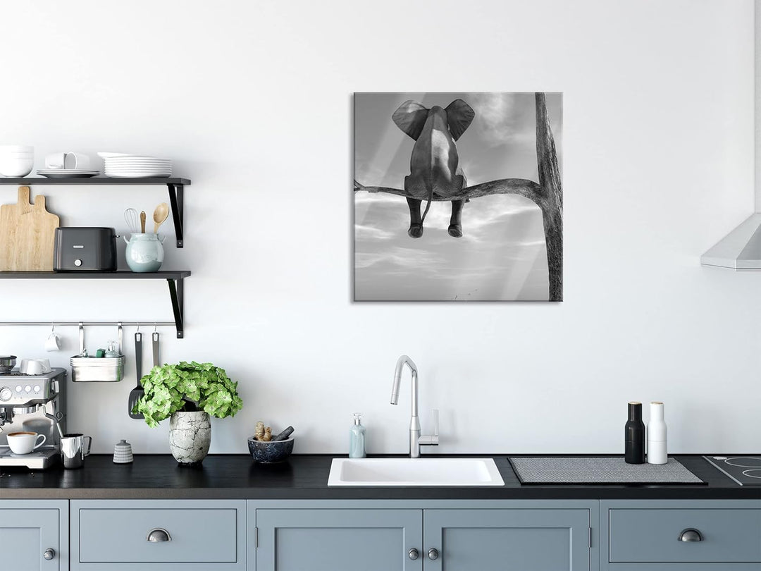 Pixxprint Glasbild | Wandbild auf Echtglas | Elefant auf einem Ast in der Wüste | 50x50 cm | inkl. A