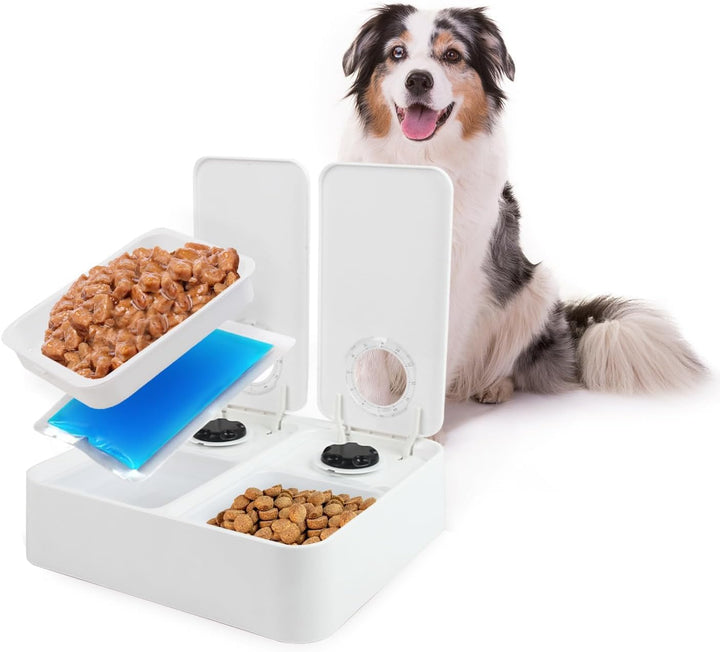 Liftstyle4Pets of Double Timer Feeder