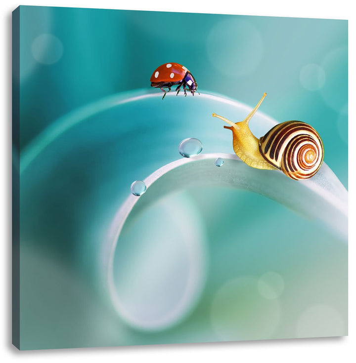 Pixxprint eine Schnecke und Marienkäfer auf Einer Pflanze, Format: 70x70 auf Leinwand, 70x70
