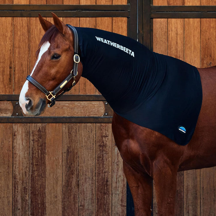 Weatherbeeta Full Black, Full Black