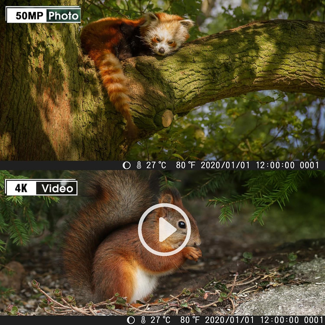 FunKind Wildkamera 4K 50MP, Wildtierkamera mit Nachtsicht Bewegungsmelder Weitwinkel 120°, 850nm IR