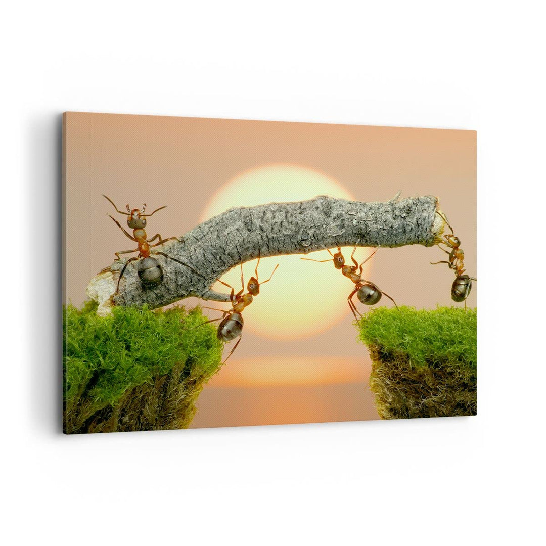 Bilder auf Leinwand 100x70cm Leinwandbild Tiere Ameisen Brücke Natur Gross Wanddeko Bild Schlafzimme