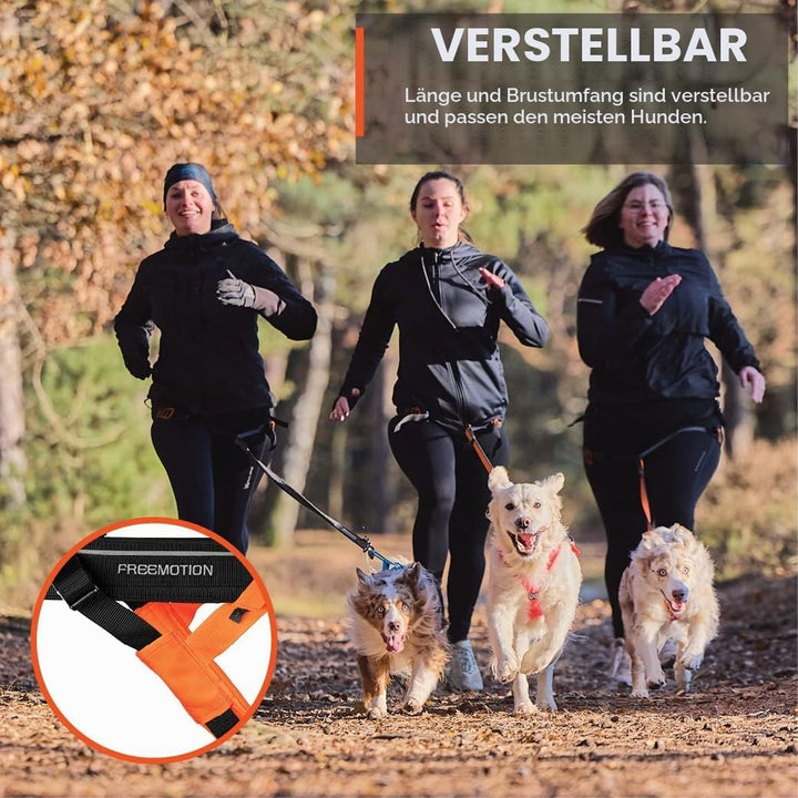 Non-stop dogwear Freemotion Harness 5.0 | Hunde-Geschirr für alle Sportarten, Grösse:Grösse 3 schwar