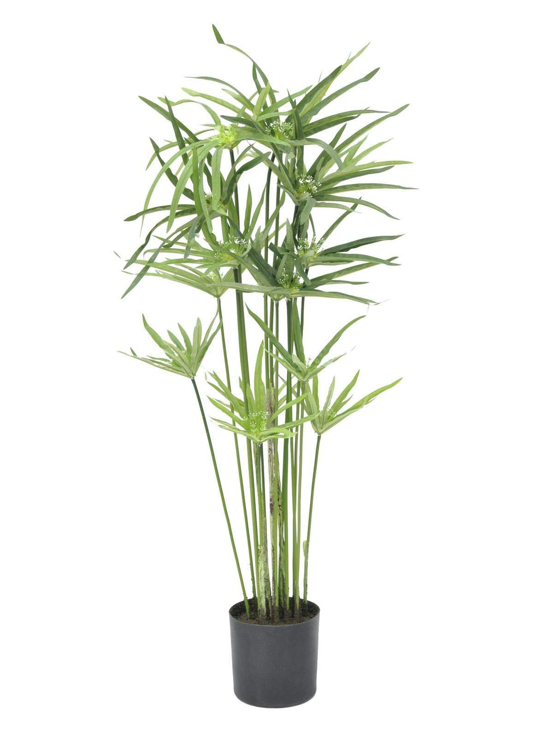 EUROPALMS Zyperngras, künstlich,76cm | Tolle Deko in Wohn- und Geschäftsräumen