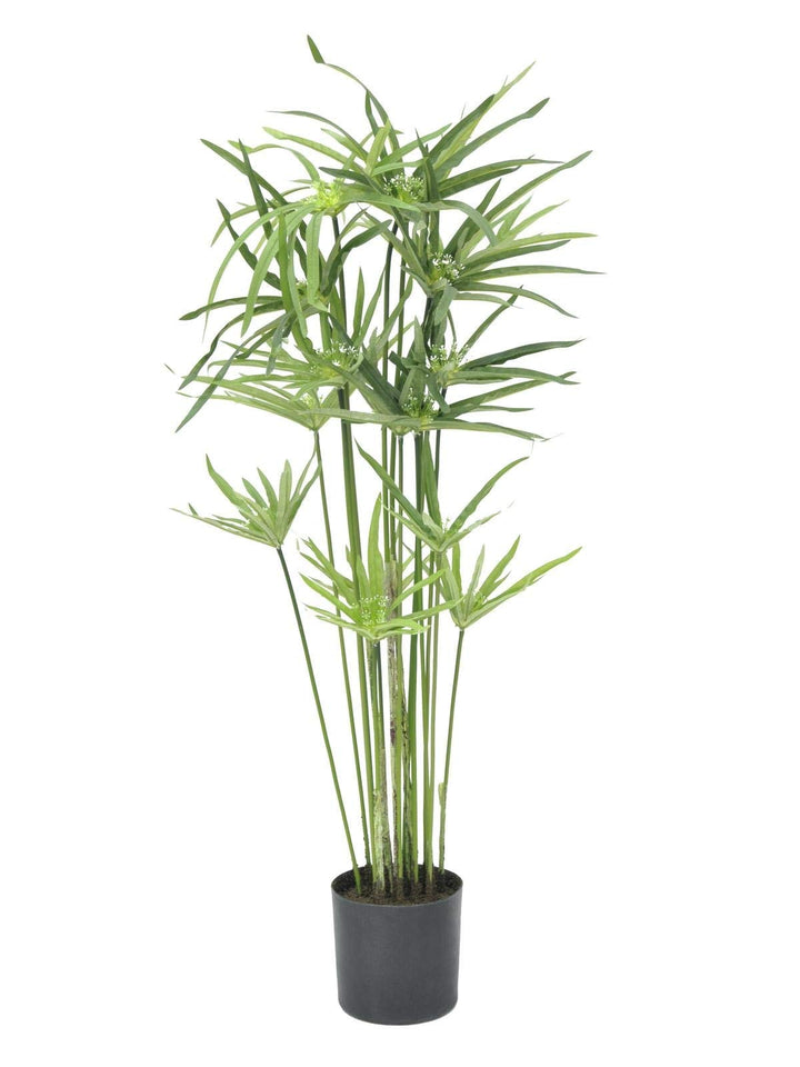 EUROPALMS Zyperngras, künstlich,76cm | Tolle Deko in Wohn- und Geschäftsräumen