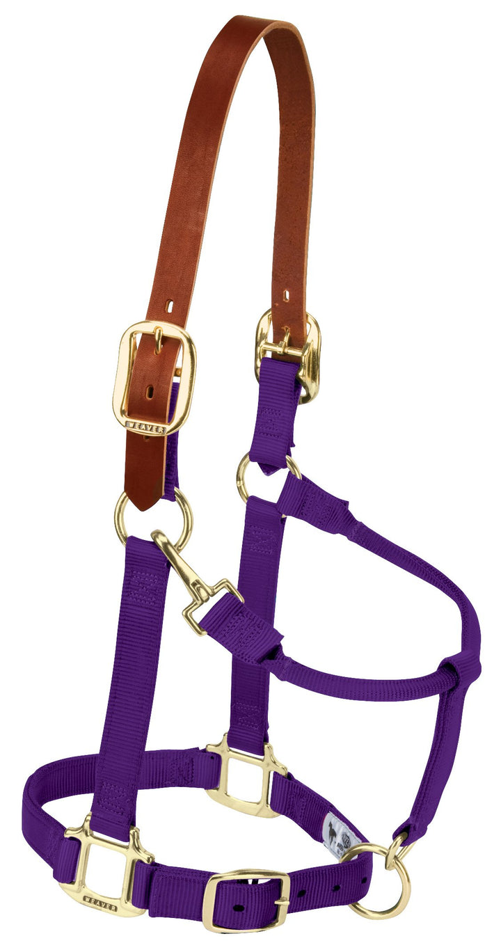 Weaver Leder abtrünnigen Original Verstellbare Kinn und Hals Snap Halfter, violett Violett Yearling