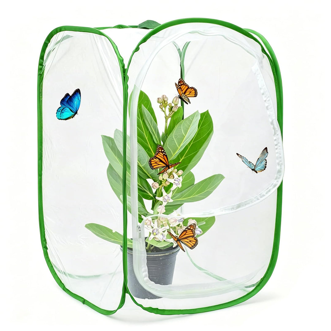Insekt Und Schmetterling Habitat Käfig, Zusammenklappbares Schmetterlingshaus, Mesh Terrarium Pop-Up