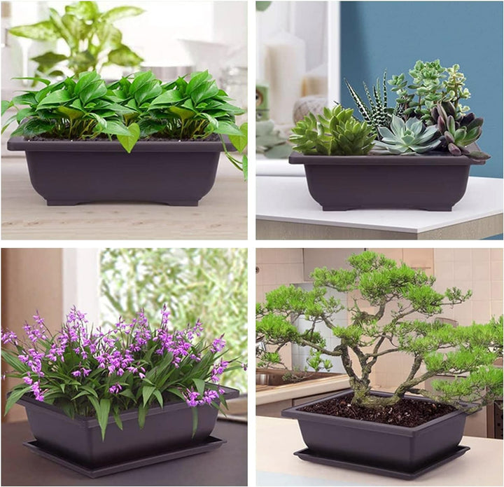 6 Stück Bonsai-Trainingstöpfe mit Tablett Rechteck Blumentopf Bonsai Schale Sukkulenten Klein Pflanz