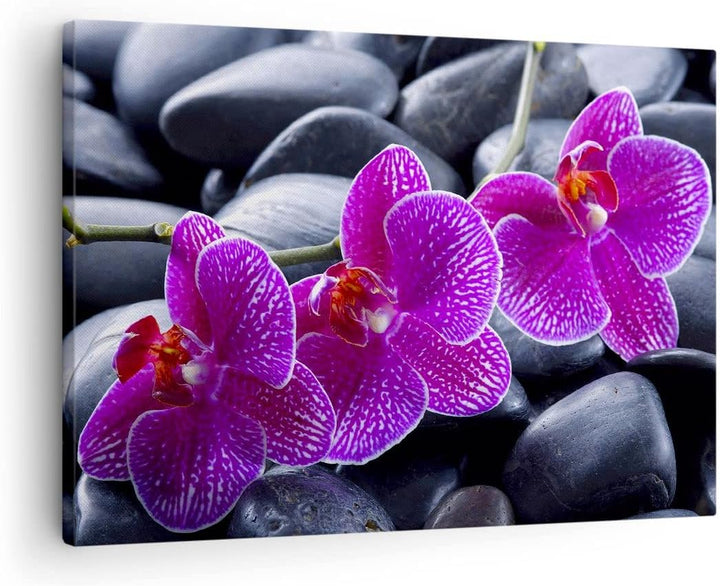Bilder auf Leinwand Blumen Steine Violett Aromatherapie Leinwandbild 70x50cm Wandbilder Dekoration W