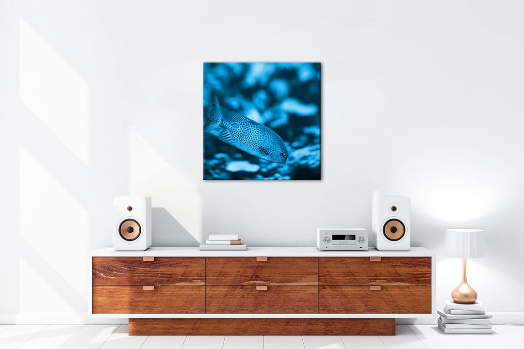 deyoli Kleiner Gepunkteter Fisch im Meer Format: 70x70 Effekt: Monocrome Blau als Leinwandbild, Moti