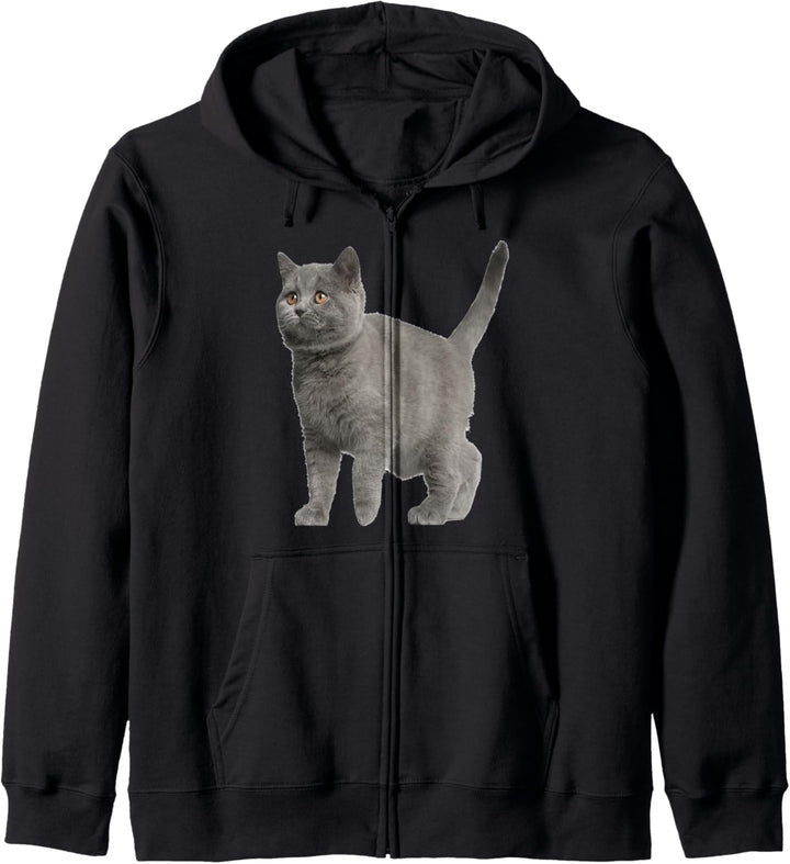 Britisch Kurzhaar Katze Kapuzenjacke