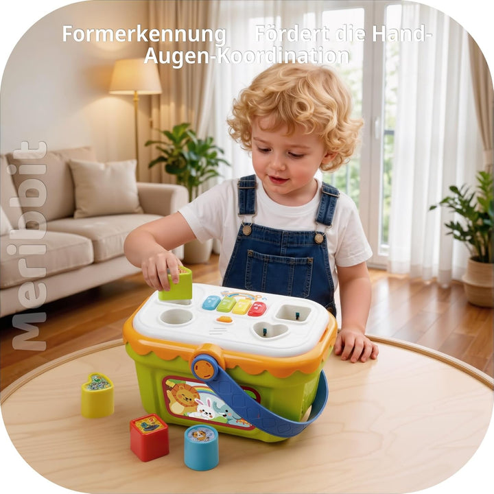 Montessori-Spielzeug Sinnesförderndes Spielzeug für 1-3 Jahre Kinder, Musik Formensortierer mit Klav