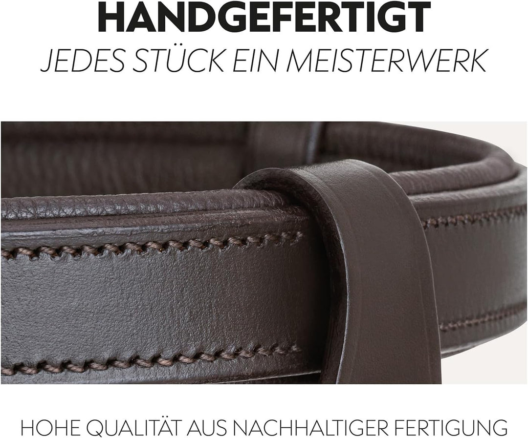 SUNRIDE englisch kombinierte Trense Berlin mit Zügel, aus weichem Echtleder mit Clip-Verschluss, ver