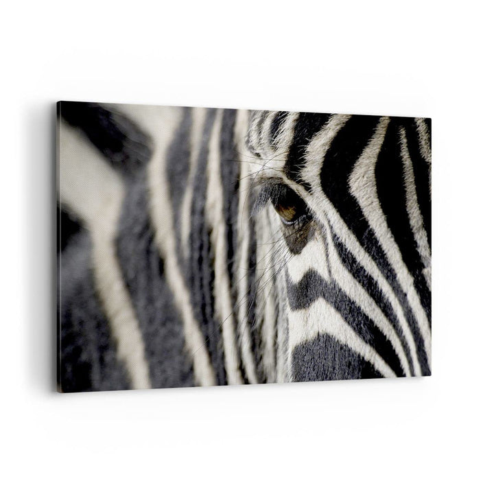 Bilder auf Leinwand 100x70cm Leinwandbild Zebra Streifen Tierwelt Safari Gross Wanddeko Bild Schlafz