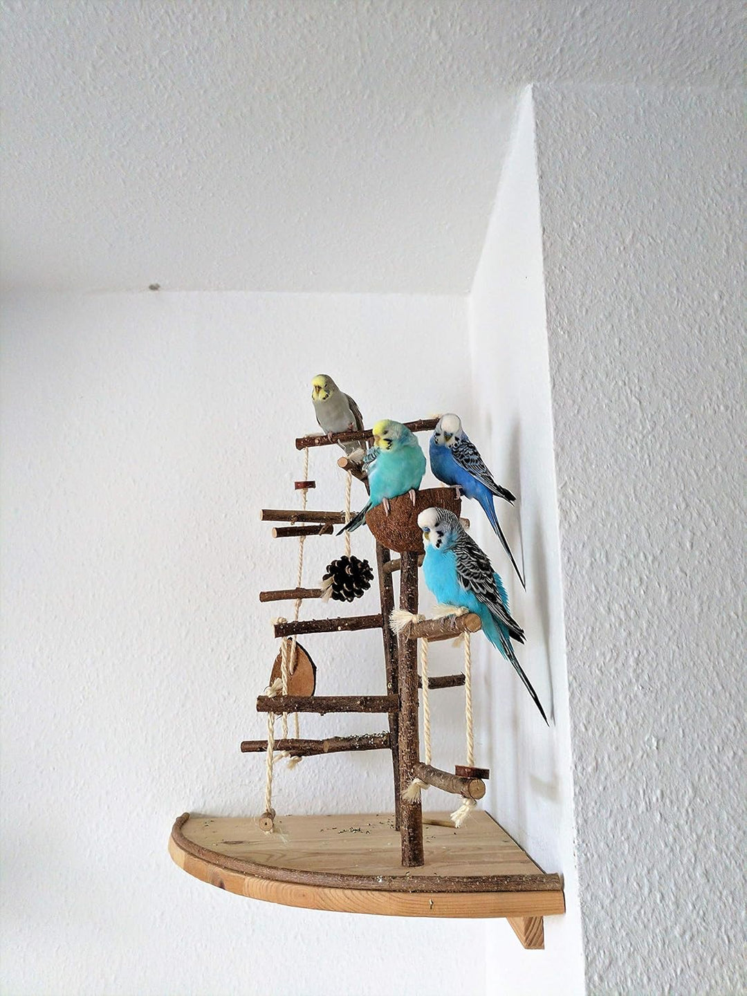 Vogelgaleria® Premium Vogelspielplatz gross für die Wand-Montage | 2 abnehmbare Natur Kletterbäume a