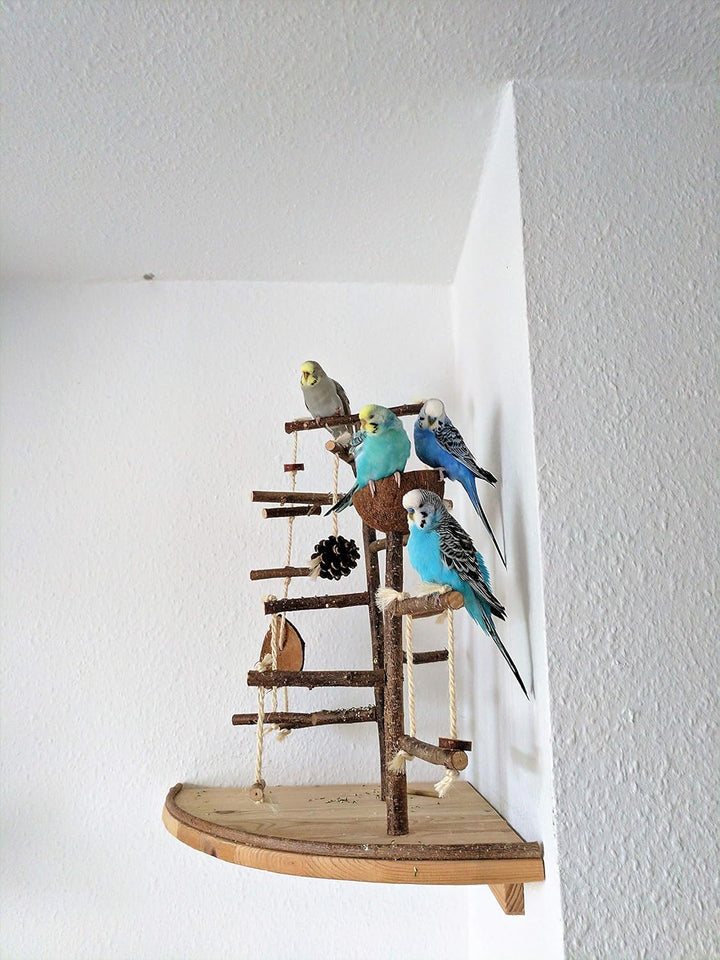 Vogelgaleria® Premium Vogelspielplatz gross für die Wand-Montage | 2 abnehmbare Natur Kletterbäume a