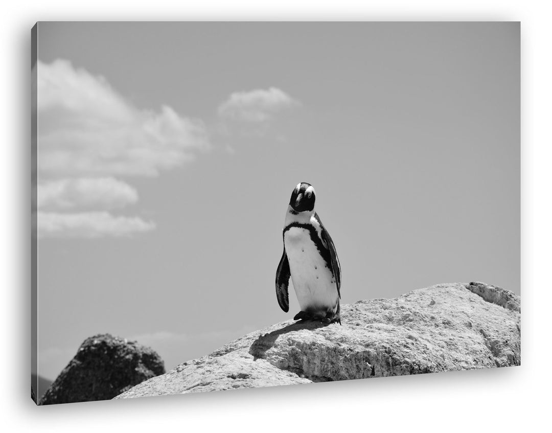 deyoli Zucker süsser Strand Pinguin Effekt: Schwarz/Weiss Format: 80x60 als Leinwandbild, Motiv fert