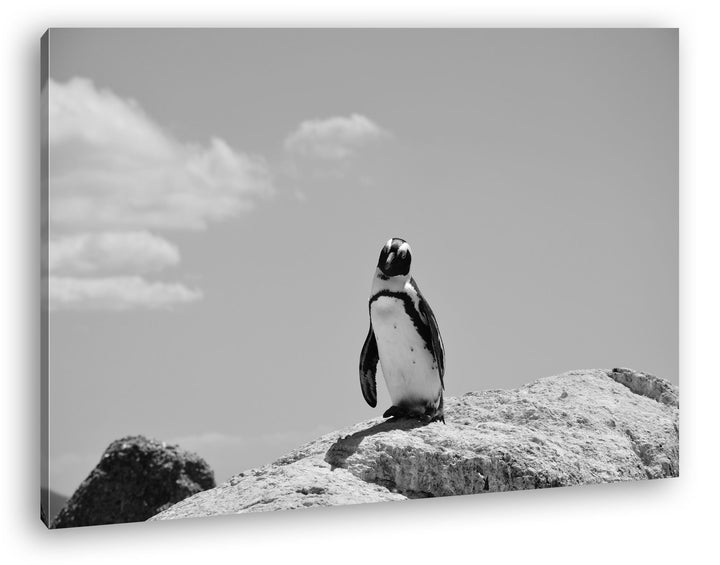 deyoli Zucker süsser Strand Pinguin Effekt: Schwarz/Weiss Format: 80x60 als Leinwandbild, Motiv fert