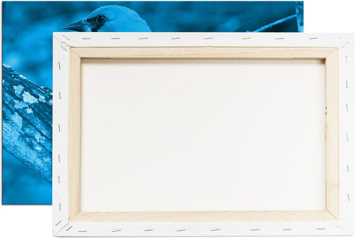 deyoli Anmutiger Vogel Format: 100x70 Effekt: Monocrome Blau als Leinwandbild, Motiv fertig gerahmt