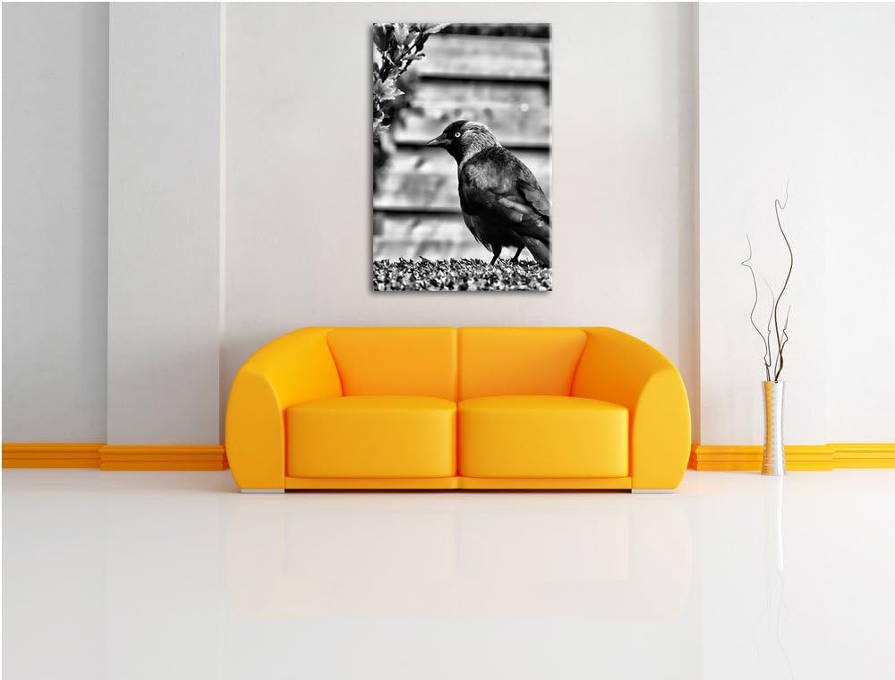 Pixxprint Vogel auf Gartenwiese / 100x70cm Leinwandbild bespannt auf Holzrahmen/Wandbild Kunstdruck