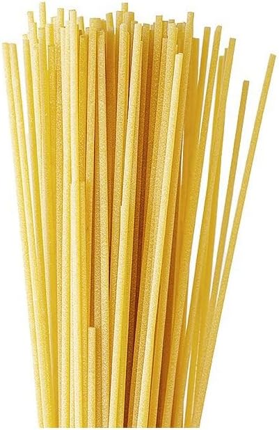 Pastidea - Matrize aus POM Spaghetti 2,5 mm für Philips Pastamaker Avance und Serie 7000