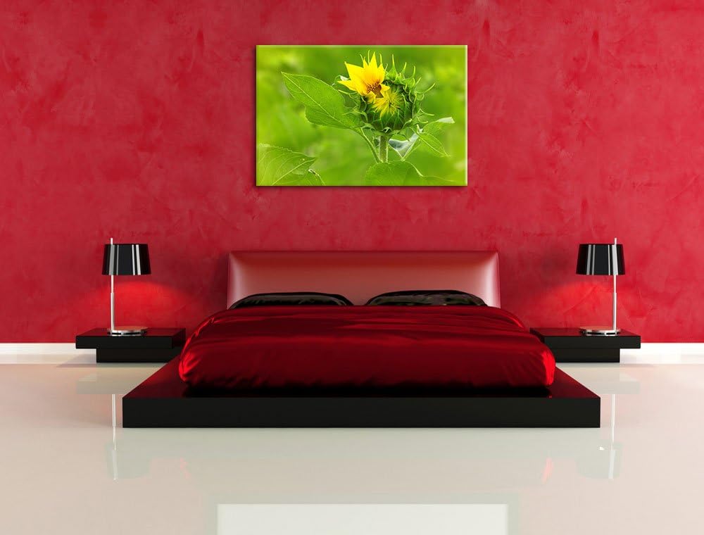 Aufblühende Sonnenblume, Format: 100x70 auf Leinwand, XXL riesige Bilder fertig gerahmt mit Keilrahm