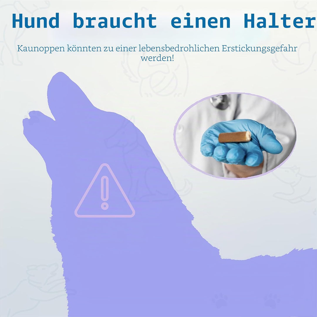 PetClan Chewise Bully Stick Halter – Sicherheit &amp; Robustes Design, BPA-frei, Sicherer Ochsenziemer-H